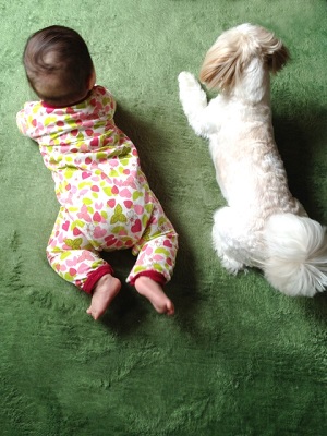 赤ちゃんと犬