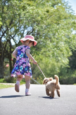 走る少女と犬